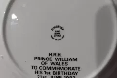 Princess-Di-Prince-Will